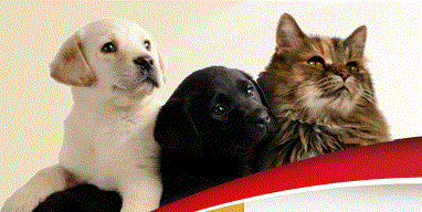 Freebie Sample of Trophy Complete Dog & Cat food